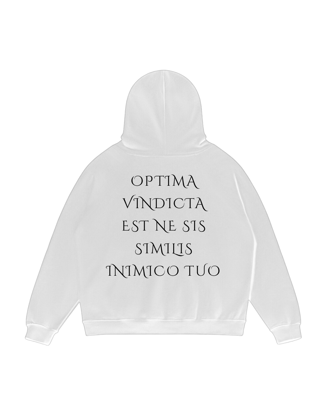 HISTORE™ Marcus Aurelius Oversize Hoodie