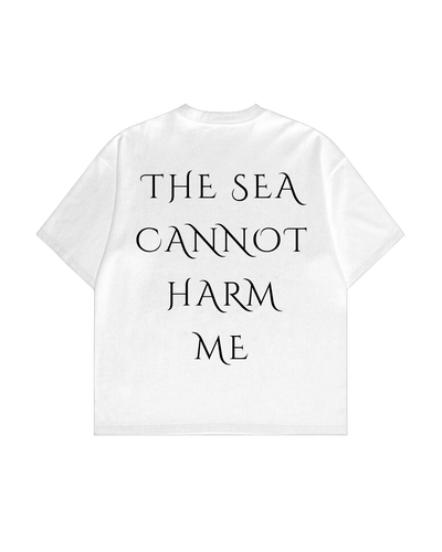 HISTORE™ Hayreddin Barbarossa - Barbaros Hayreddin Paşa Oversize T-shirt