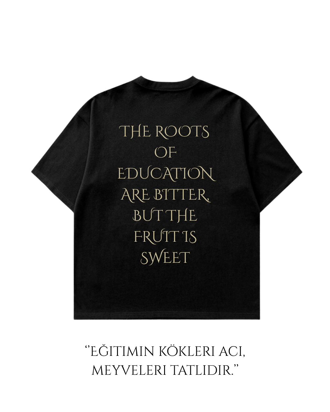 HISTORE™ Aristotle - Aristoteles Oversize T-shirt