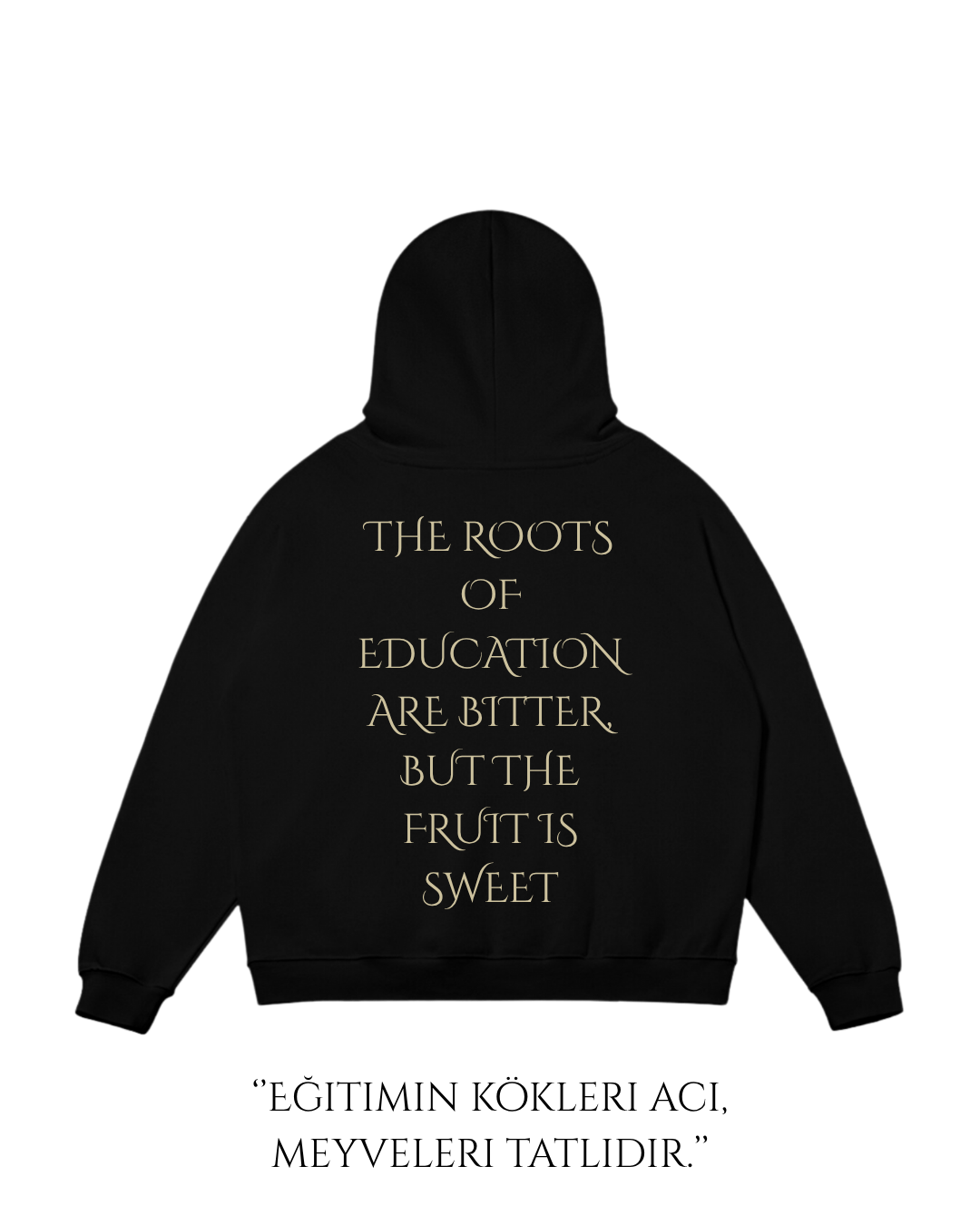 HISTORE™ Aristotle - Aristoteles Oversize Hoodie