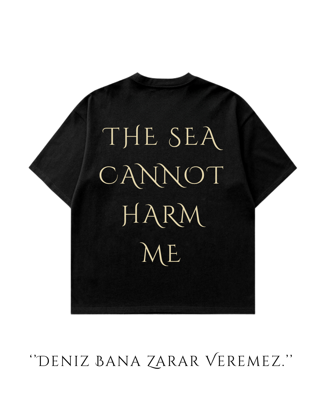 HISTORE™ Hayreddin Barbarossa - Barbaros Hayreddin Paşa Oversize T-shirt