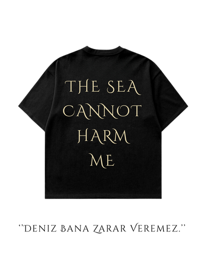 HISTORE™ Hayreddin Barbarossa - Barbaros Hayreddin Paşa Oversize T-shirt