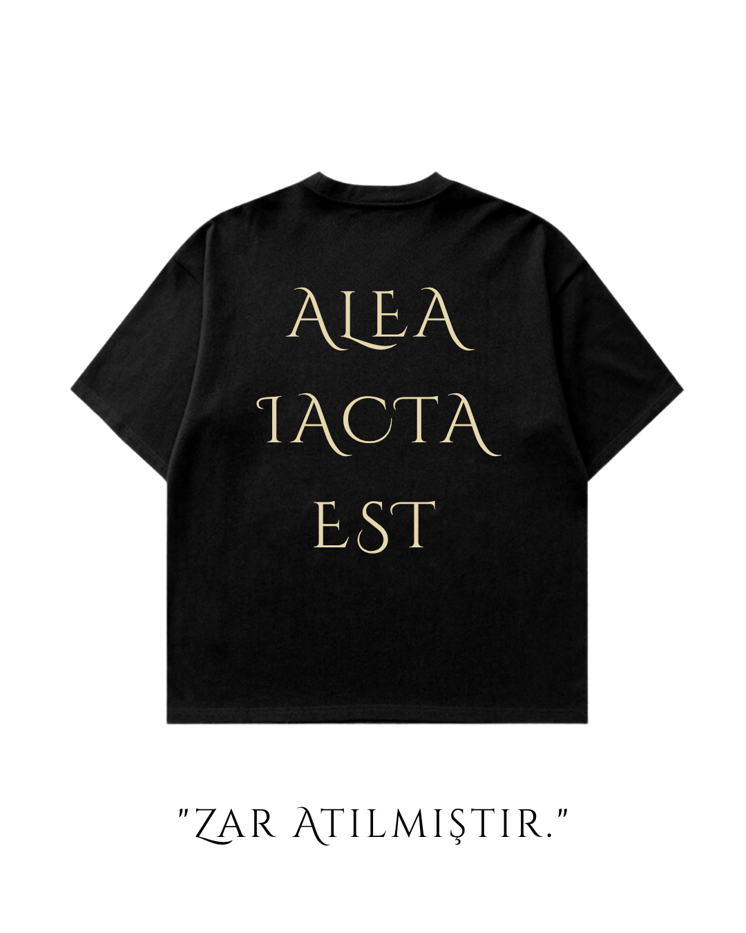 HISTORE™ Julius Caesar Oversize T-shirt