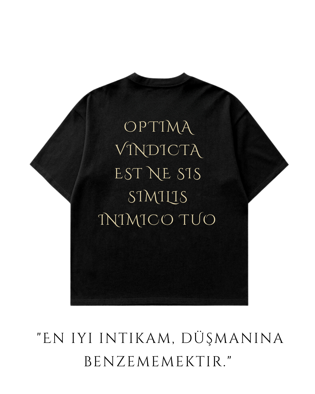 HISTORE™ Marcus Aurelius Oversize T-shirt