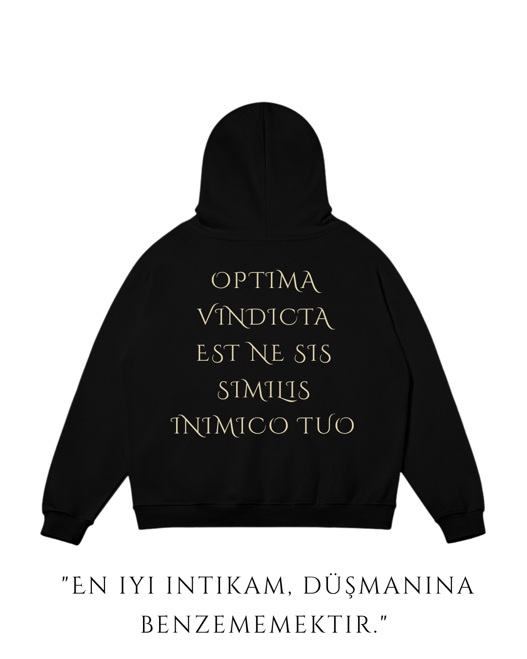 HISTORE™ Marcus Aurelius Oversize Hoodie