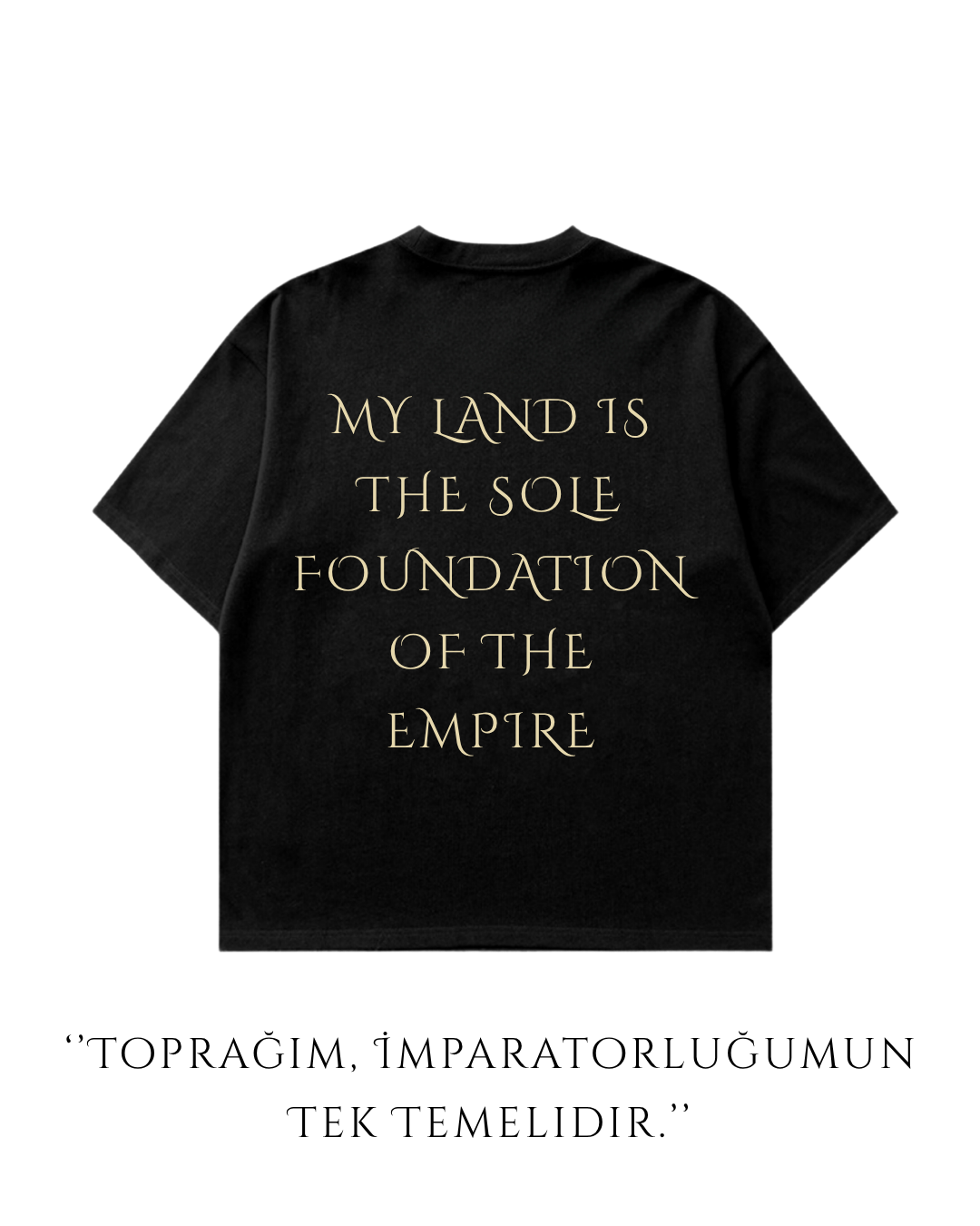 HISTORE™ Modu Chanyu - Mete Han Oversize T-shirt